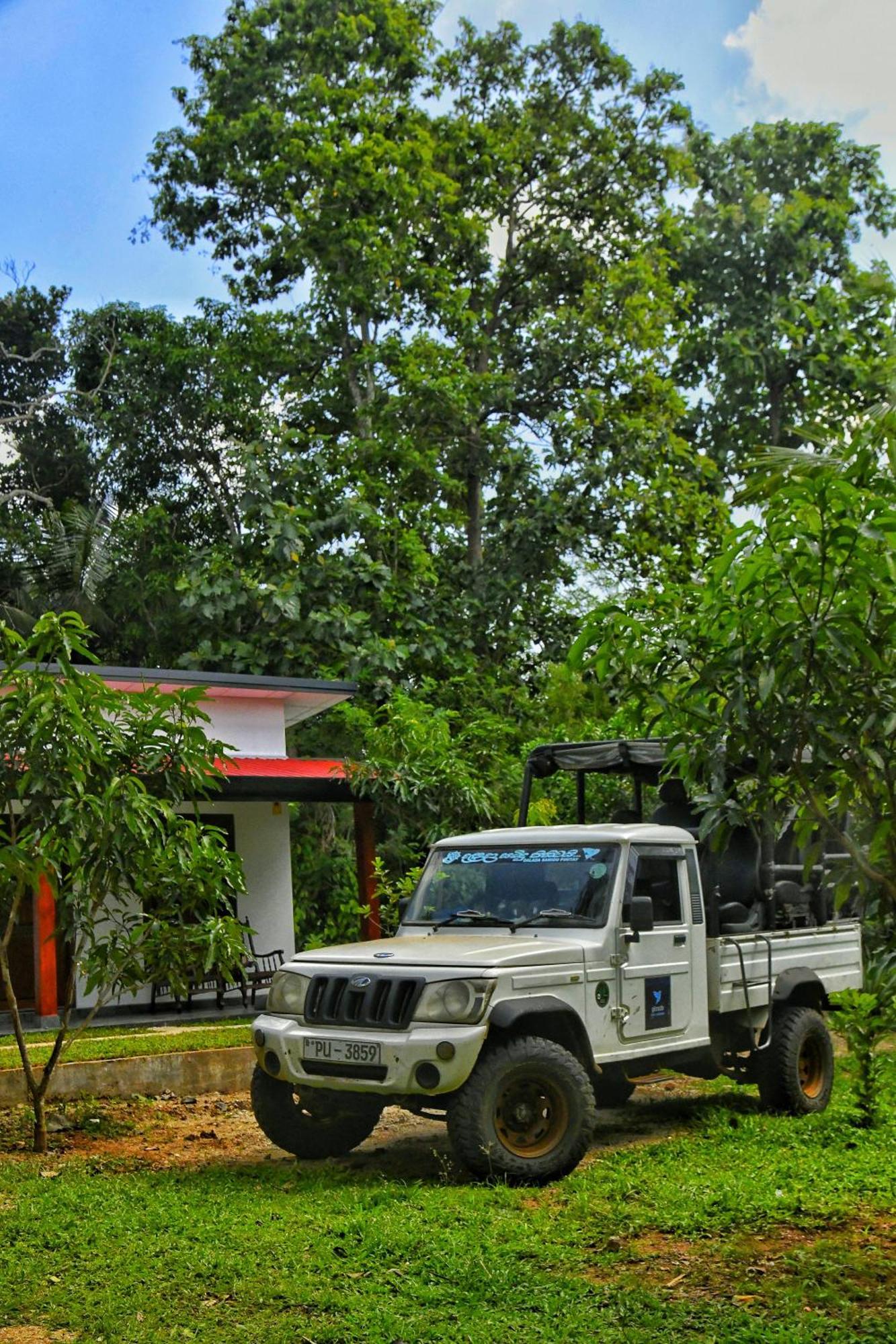 Pinnacle Safari Resort Udawalawe Kültér fotó